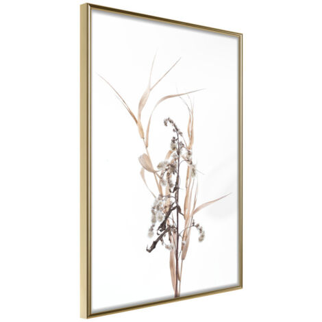 Affiche Murale Encadrée "Found on the Field" 21 x 30 cm Or