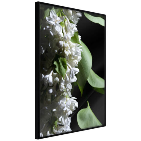 Affiche Murale Encadrée "Fragrant Spring" 21 x 30 cm Noir