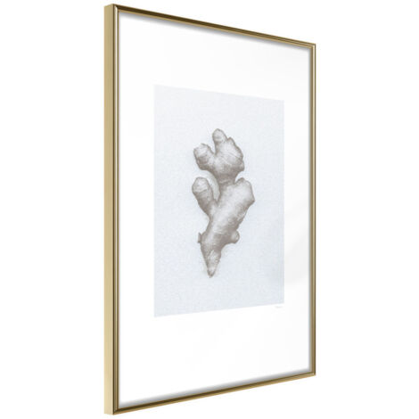 Affiche Murale Encadrée "Ginger Rhizome" 21 x 30 cm Or