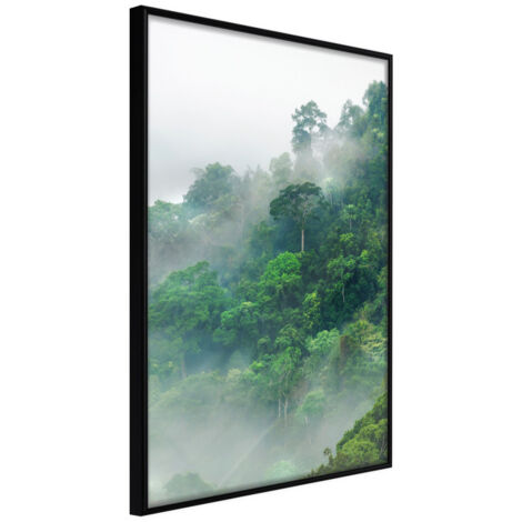 Affiche Murale Encadrée "Green Lungs of the Earth II" 40 x 60 cm Noir