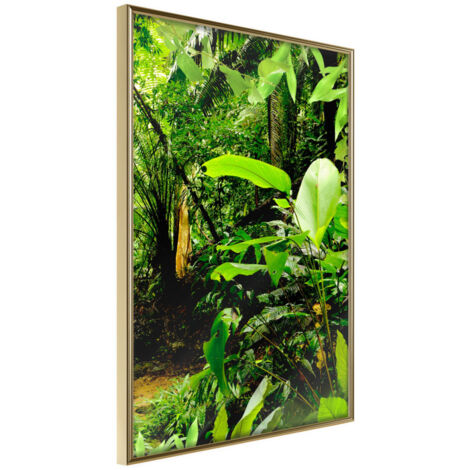 Affiche Murale Encadrée "In the Rainforest" 30 x 42 cm Or