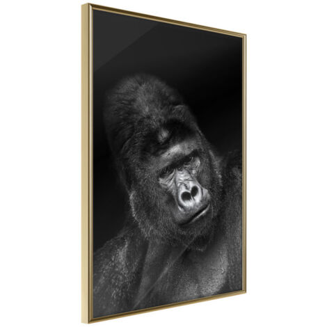 Affiche Murale Encadrée "Intelligent Gaze" 21 x 30 cm Or