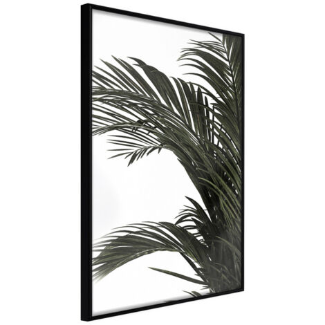 Affiche Murale Encadrée "Jungle Scent" 21 x 30 cm Noir