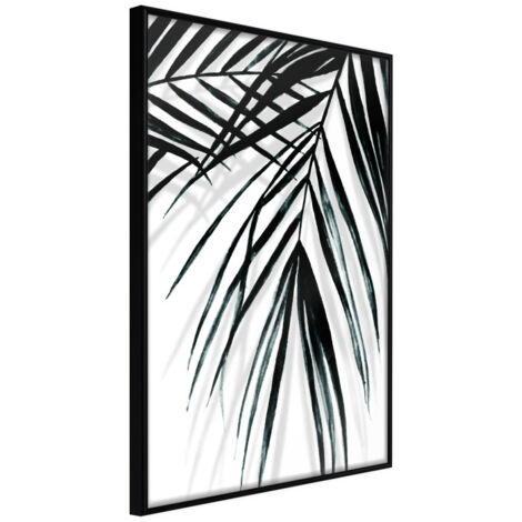 Affiche Murale Encadrée "Leaf and Its Shadow" 21 x 30 cm Noir