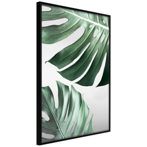 Affiche Murale Encadrée "Leaves Like Swiss Cheese" 21 x 30 cm Noir