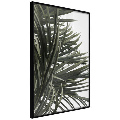 Affiche Murale Encadrée "Little Tropics" 21 x 30 cm Noir