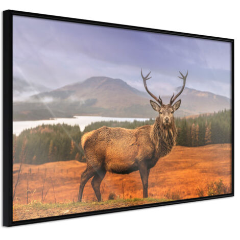 Affiche Murale Encadrée "Majestic Deer" 30 x 20 cm Noir