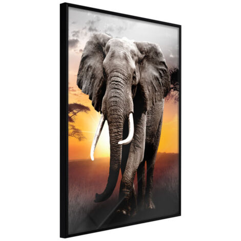 Affiche Murale Encadrée "Majestic Elephant" 30 x 42 cm Noir