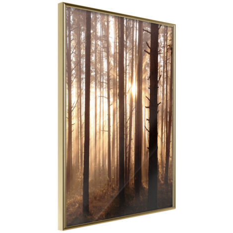 Affiche Murale Encadrée "Morning in the Forest" 21 x 30 cm Or