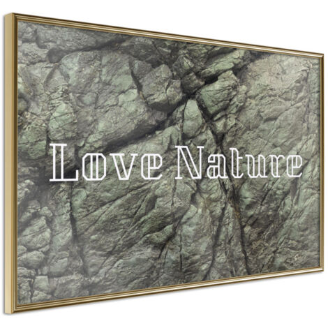 Affiche Murale Encadrée "Nature" 30 x 20 cm Or