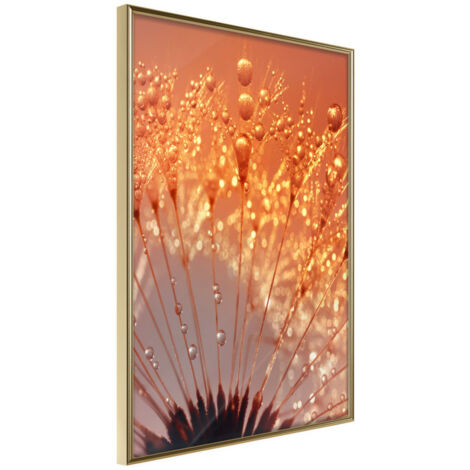 Affiche Murale Encadrée "Orange Breath of the Summer" 21 x 30 cm Or