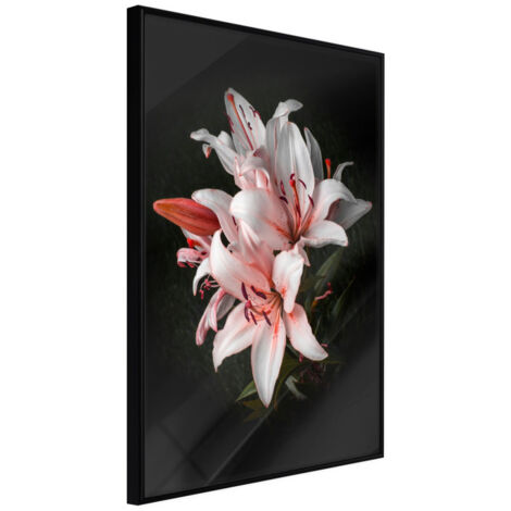 Affiche Murale Encadrée "Pale Pink Lilies" 21 x 30 cm Noir