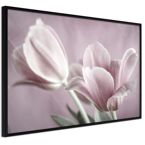 Affiche Murale Encadrée "Pastel Tulips I" 30 x 20 cm Noir