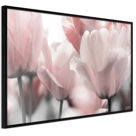 Affiche Murale Encadrée "Pastel Tulips II" 45 x 30 cm Noir