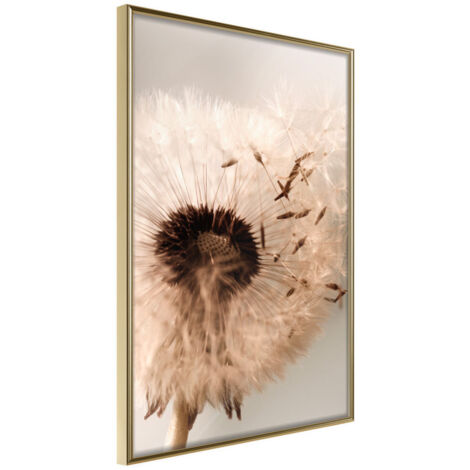 Affiche Murale Encadrée "Piece of the Summer" 30 x 42 cm Or
