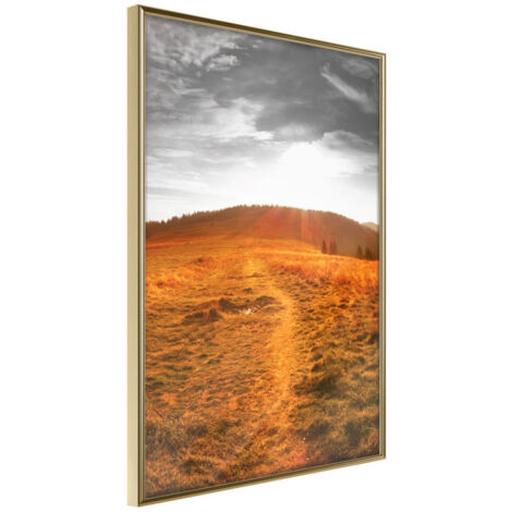 Affiche Murale Encadrée "Prairie" 21 x 30 cm Or