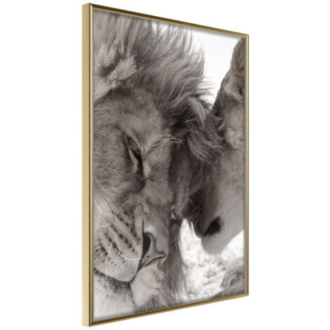 Affiche Murale Encadrée "Predatory Couple" 30 x 42 cm Or
