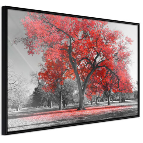 Affiche Murale Encadrée "Red Tree" 30 x 20 cm Noir