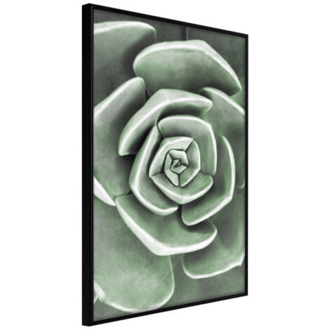 Affiche Murale Encadrée "Robust Plant" 21 x 30 cm Noir