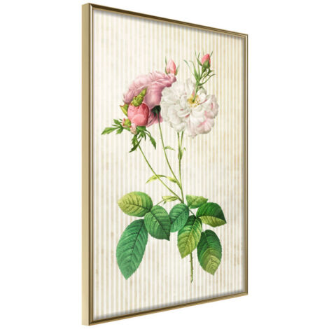 Affiche Murale Encadrée "Romance I" 21 x 30 cm Or