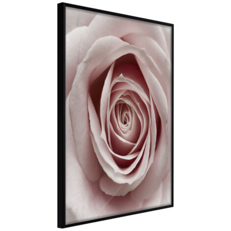 Affiche Murale Encadrée "Rosebud" 21 x 30 cm Noir