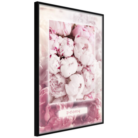 Affiche Murale Encadrée "Scent of Peonies" 21 x 30 cm Noir
