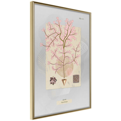 Affiche Murale Encadrée "Seaweed" 30 x 42 cm Or