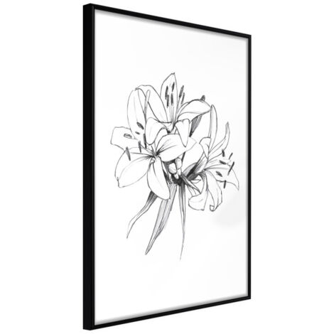 Affiche Murale Encadrée "Sketch of Lillies" 21 x 30 cm Noir