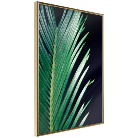 Affiche Murale Encadrée "Soothing Green" 40 x 60 cm Or