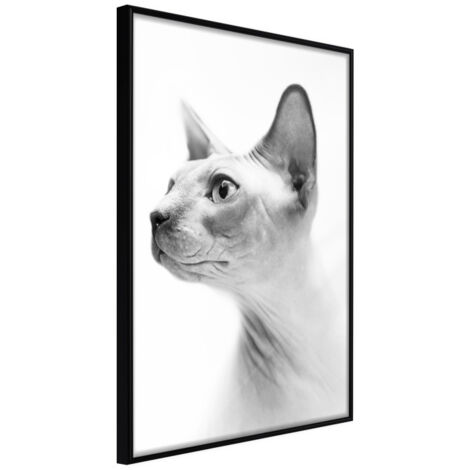 Affiche Murale Encadrée "Sphinx" 21 x 30 cm Noir