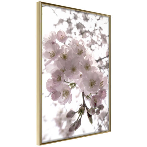 Affiche Murale Encadrée "Spring Visit" 21 x 30 cm Or