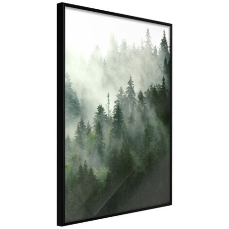 Affiche Murale Encadrée "Steaming Forest" 40 x 60 cm Noir