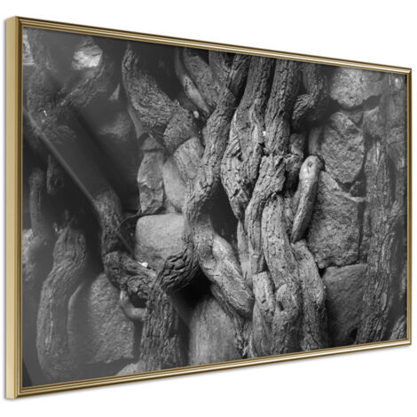 Affiche Murale Encadrée "Strong Roots" 45 x 30 cm Or
