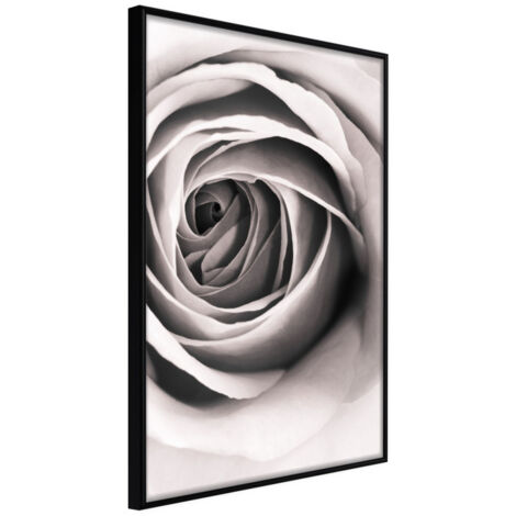 Affiche Murale Encadrée "Structure of Petals" 21 x 30 cm Noir