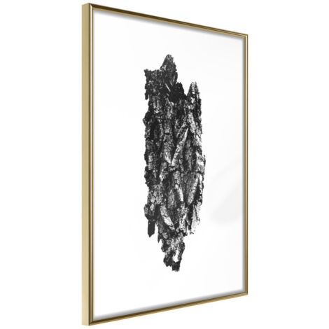 Affiche Murale Encadrée "Texture of a Tree" 21 x 30 cm Or