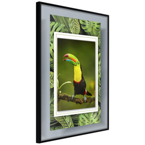 Affiche Murale Encadrée "Toucan in the Frame" 21 x 30 cm Noir