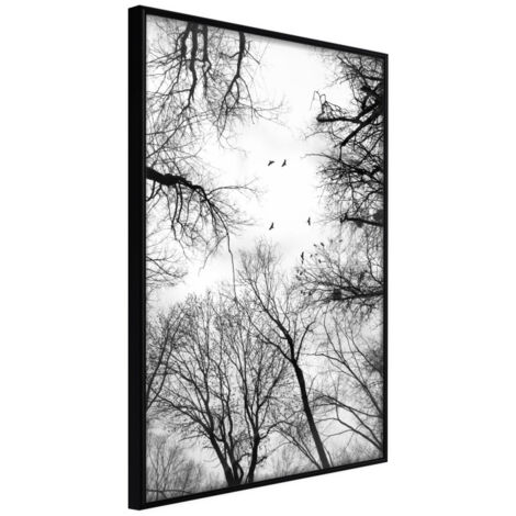 Affiche Murale Encadrée "Treetops" 30 x 42 cm Noir