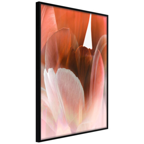 Affiche Murale Encadrée "Tulip Petals" 21 x 30 cm Noir