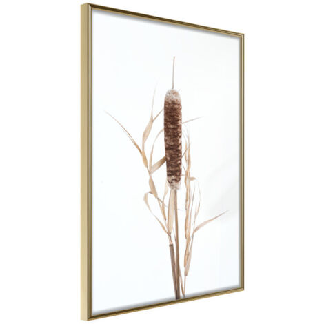 Affiche Murale Encadrée "Typha" 21 x 30 cm Or