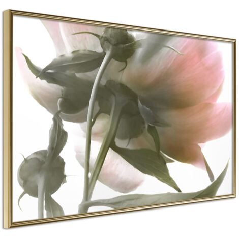 Affiche Murale Encadrée "Under the Flower" 60 x 40 cm Or