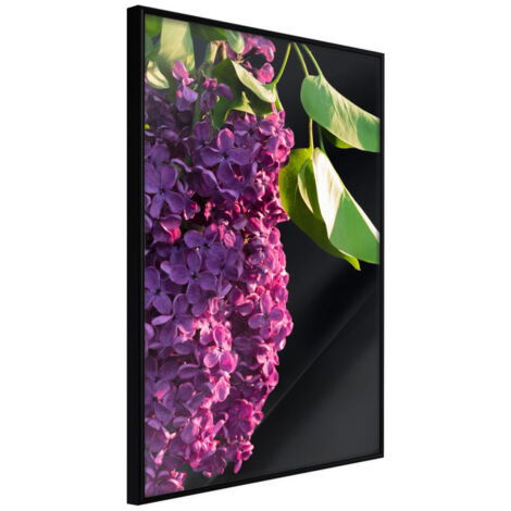 Affiche Murale Encadrée "Violet May" 21 x 30 cm Noir