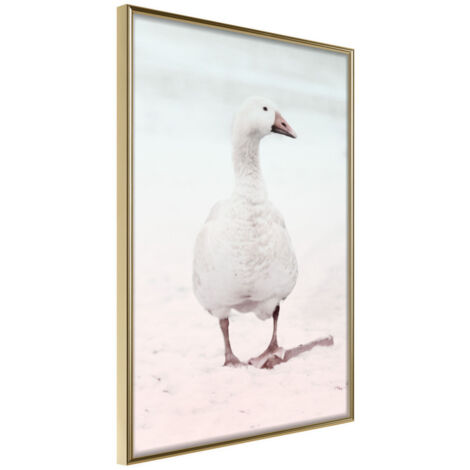 Affiche Murale Encadrée "Walking Goose" 30 x 42 cm Or