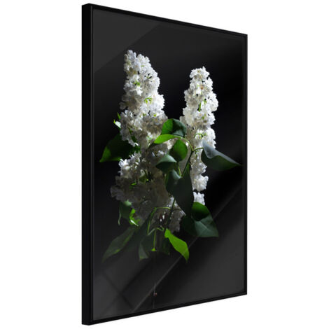 Affiche Murale Encadrée "White Lilac" 21 x 30 cm Noir