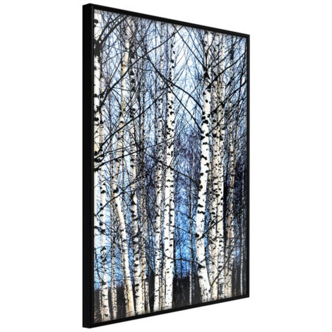 Affiche Murale Encadrée "Winter Birch Trees" 30 x 42 cm Noir