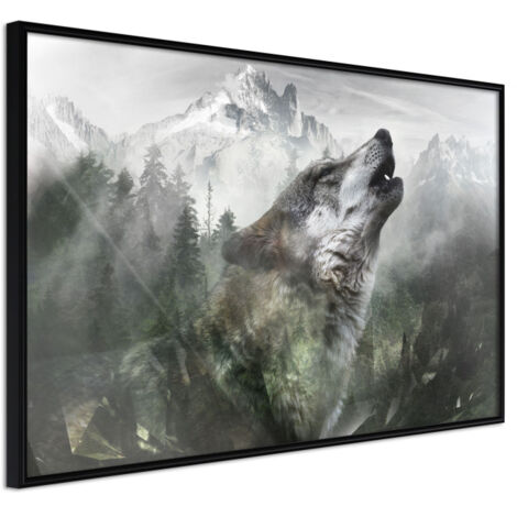 Affiche Murale Encadrée "Wolf's Territory" 60 x 40 cm Noir