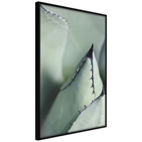 Affiche Murale Encadrée "Young Leaf of Agave" 21 x 30 cm Noir