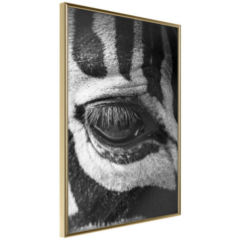 Affiche Murale Encadrée "Zebra Is Watching You" 21 x 30 cm Or