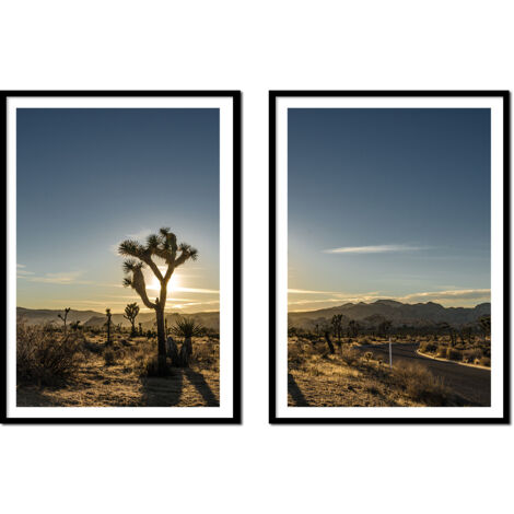 AFFICHES PHOTOS ENCADRÉES 53x73cm Diptyque Lot de 2 tableaux Cactus Boho P2173