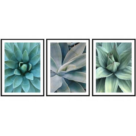 AFFICHES PHOTOS ENCADRÉES 53x73cm Triptyque Ensemble de 3 tableaux Feuilles Fleurs P2008