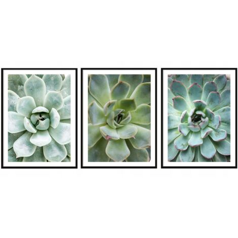 AFFICHES PHOTOS ENCADRÉES 53x73cm Triptyque Lot de 3 tableaux Feuilles Fleurs P2007